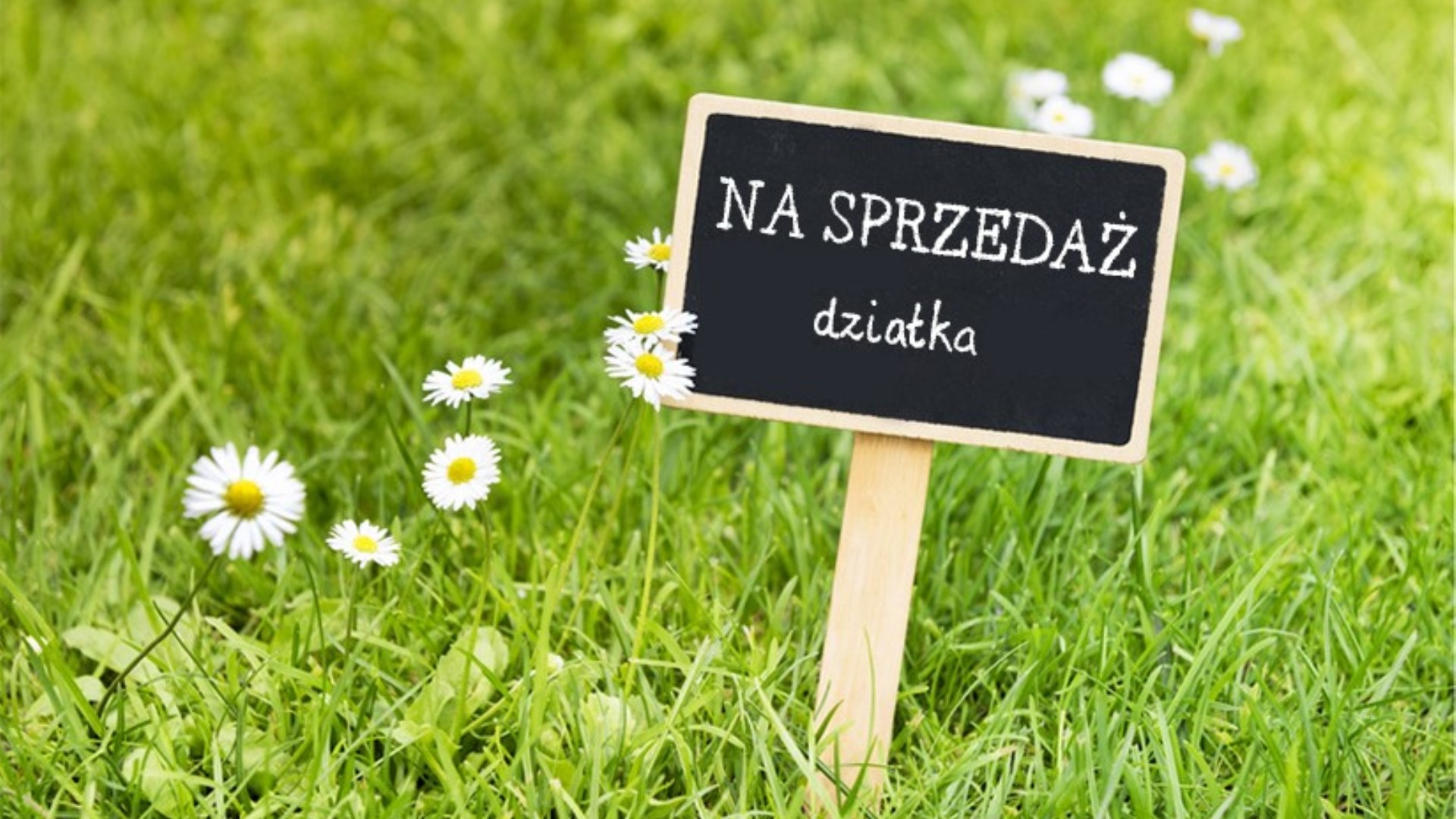 Działka na sprzedaż